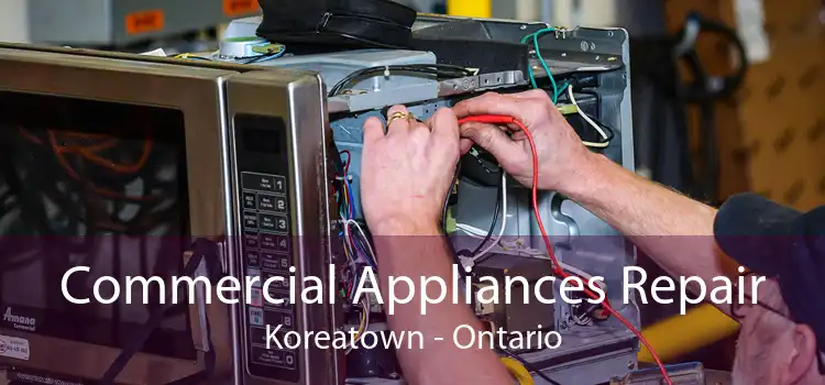 Commercial Appliances Repair Koreatown - Ontario