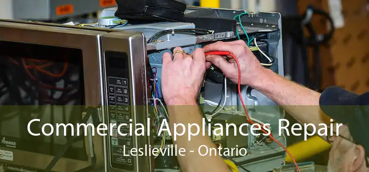 Commercial Appliances Repair Leslieville - Ontario