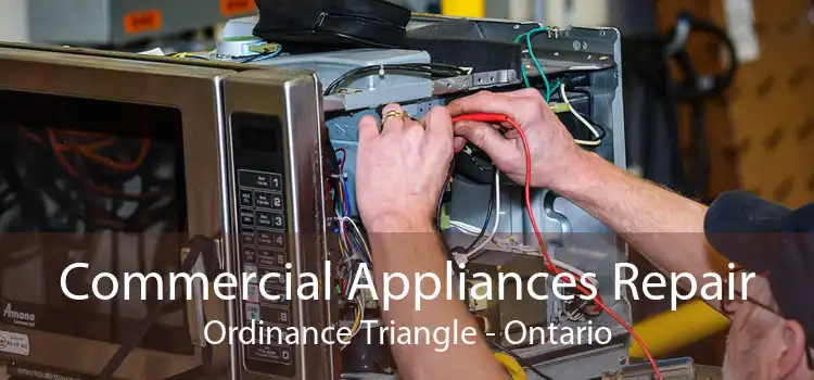 Commercial Appliances Repair Ordinance Triangle - Ontario