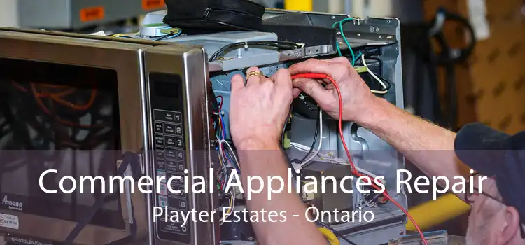 Commercial Appliances Repair Playter Estates - Ontario