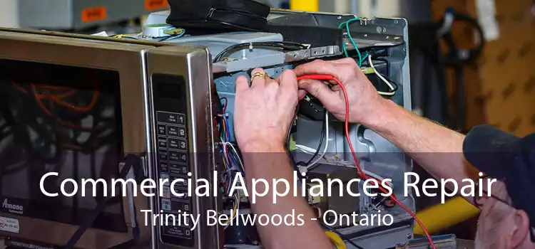 Commercial Appliances Repair Trinity Bellwoods - Ontario