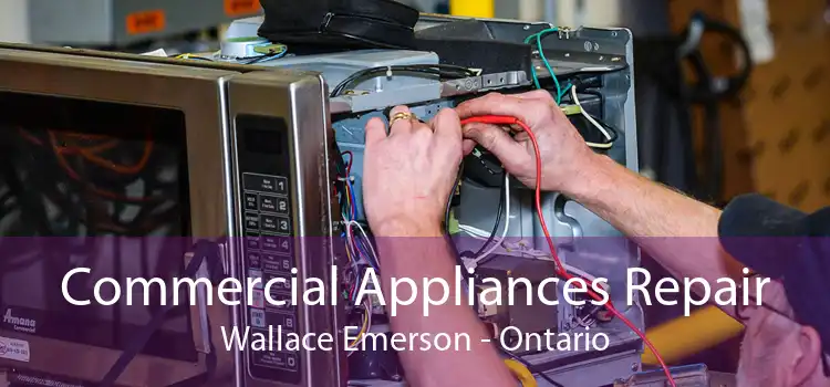 Commercial Appliances Repair Wallace Emerson - Ontario