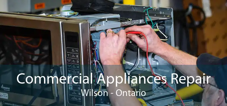 Commercial Appliances Repair Wilson - Ontario