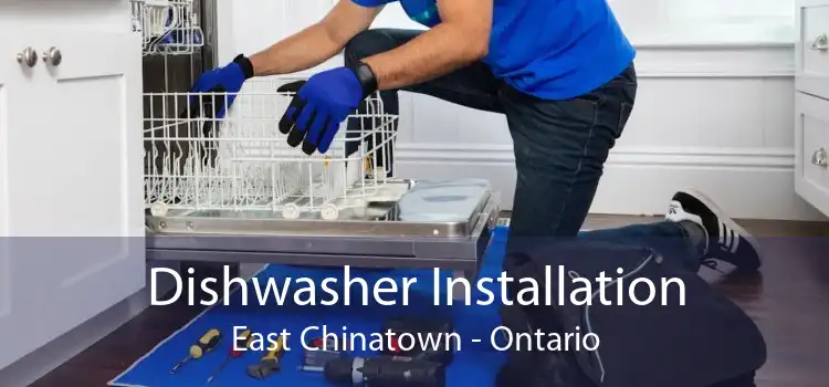 Dishwasher Installation East Chinatown - Ontario