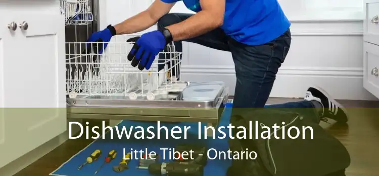Dishwasher Installation Little Tibet - Ontario
