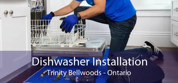 Dishwasher Installation Trinity Bellwoods - Ontario