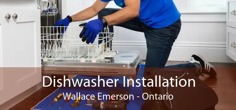 Dishwasher Installation Wallace Emerson - Ontario