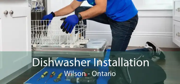 Dishwasher Installation Wilson - Ontario