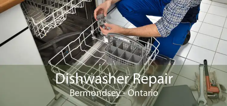 Dishwasher Repair Bermondsey - Ontario
