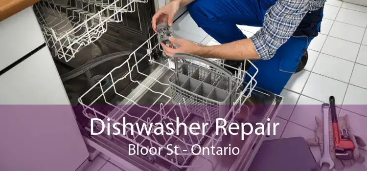 Dishwasher Repair Bloor St - Ontario