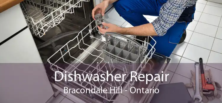 Dishwasher Repair Bracondale Hill - Ontario