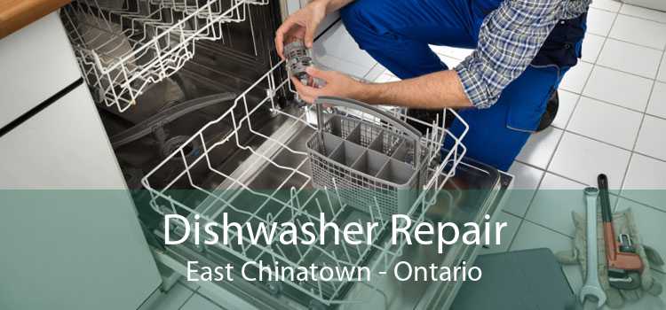 Dishwasher Repair East Chinatown - Ontario