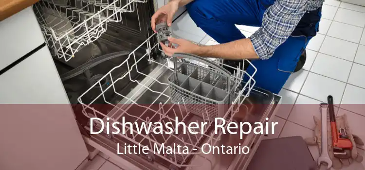 Dishwasher Repair Little Malta - Ontario