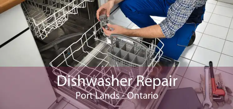 Dishwasher Repair Port Lands - Ontario