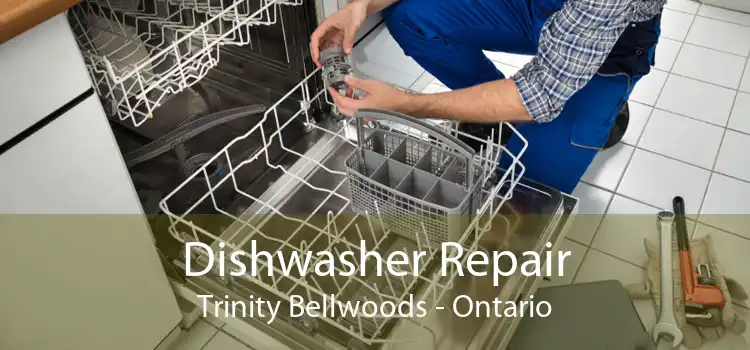 Dishwasher Repair Trinity Bellwoods - Ontario