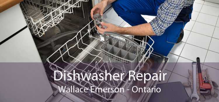 Dishwasher Repair Wallace Emerson - Ontario