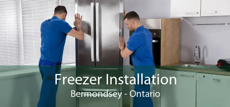 Freezer Installation Bermondsey - Ontario