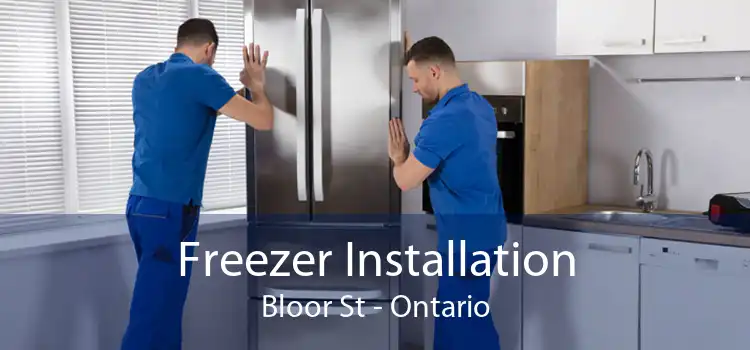 Freezer Installation Bloor St - Ontario