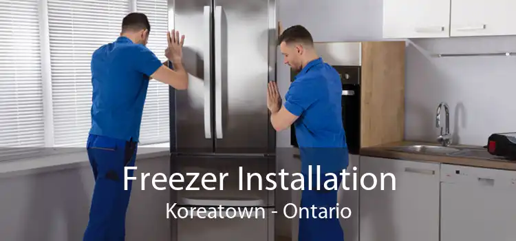 Freezer Installation Koreatown - Ontario