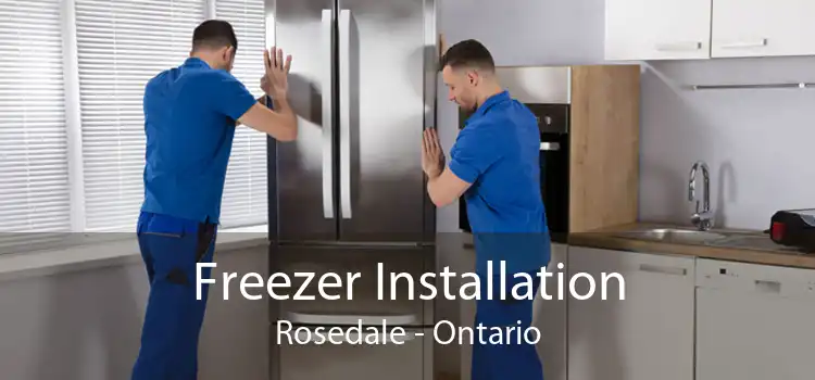 Freezer Installation Rosedale - Ontario