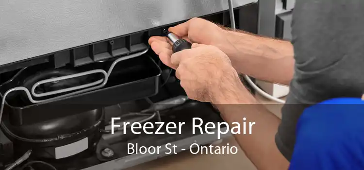Freezer Repair Bloor St - Ontario