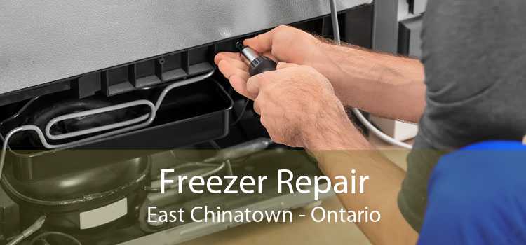 Freezer Repair East Chinatown - Ontario
