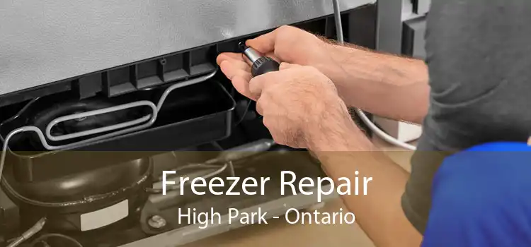 Freezer Repair High Park - Ontario