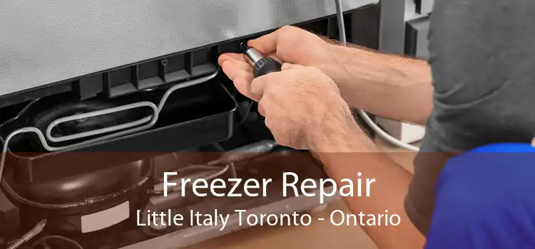 Freezer Repair Little Italy Toronto - Ontario
