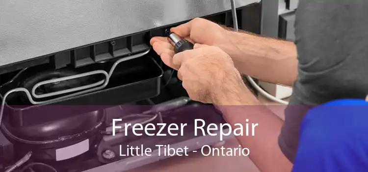 Freezer Repair Little Tibet - Ontario