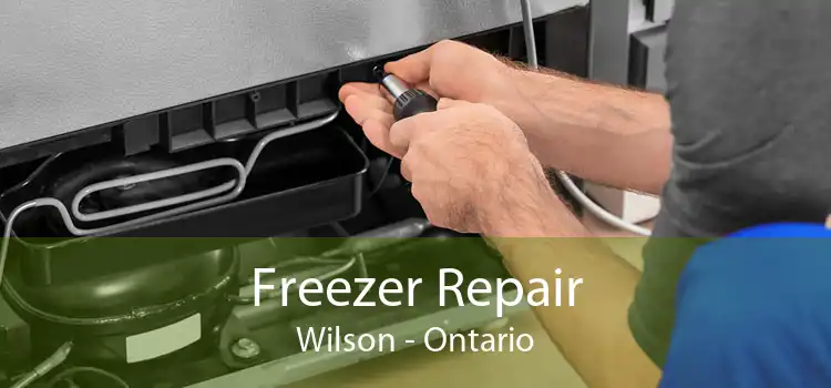 Freezer Repair Wilson - Ontario