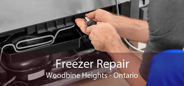 Freezer Repair Woodbine Heights - Ontario