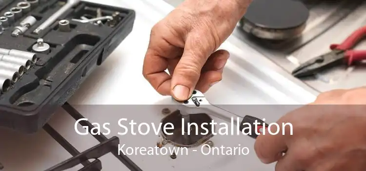 Gas Stove Installation Koreatown - Ontario