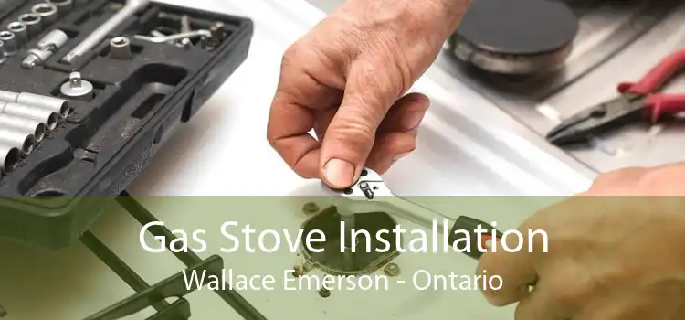 Gas Stove Installation Wallace Emerson - Ontario