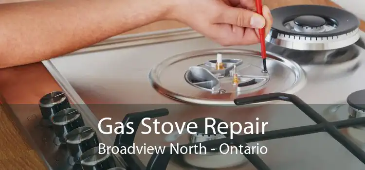 Gas Stove Repair Broadview North - Ontario