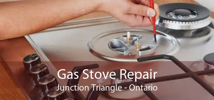 Gas Stove Repair Junction Triangle - Ontario