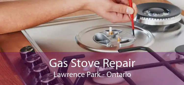Gas Stove Repair Lawrence Park - Ontario
