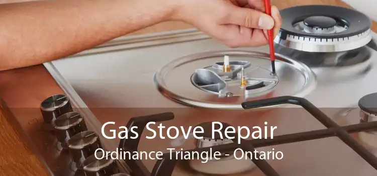 Gas Stove Repair Ordinance Triangle - Ontario