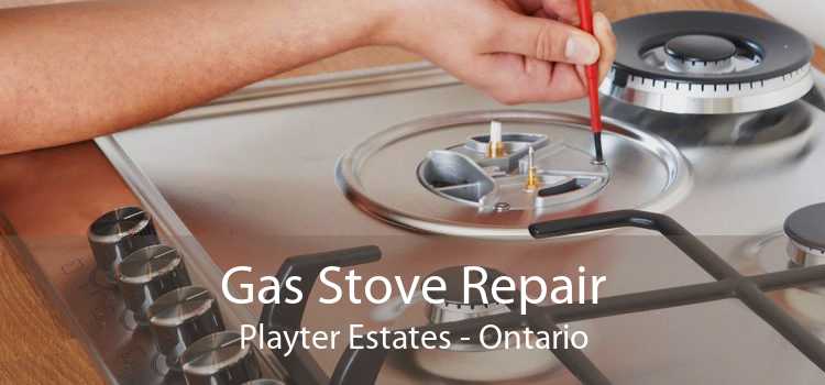 Gas Stove Repair Playter Estates - Ontario