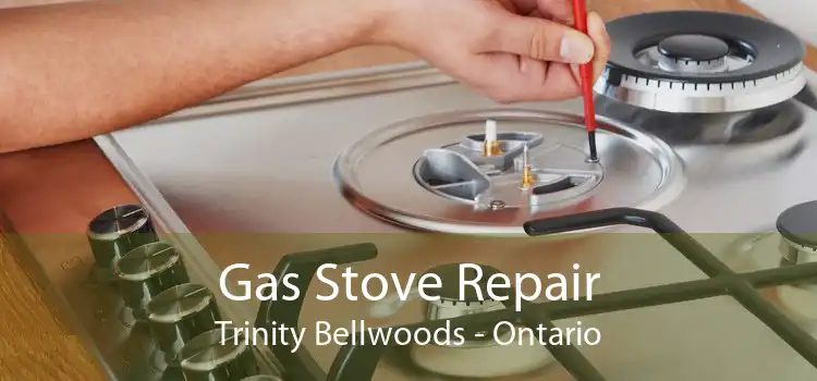 Gas Stove Repair Trinity Bellwoods - Ontario