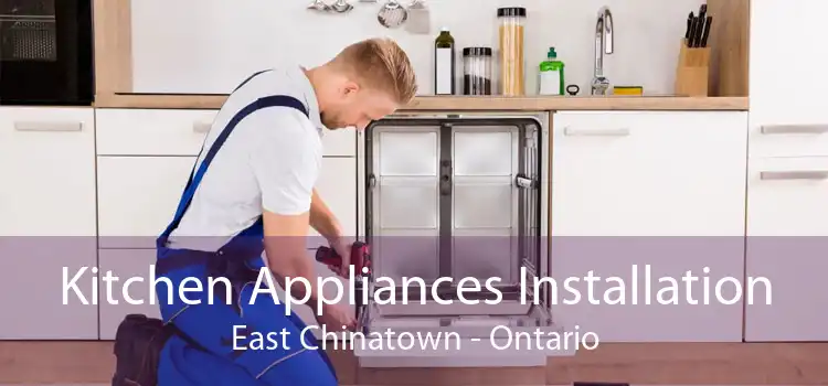 Kitchen Appliances Installation East Chinatown - Ontario