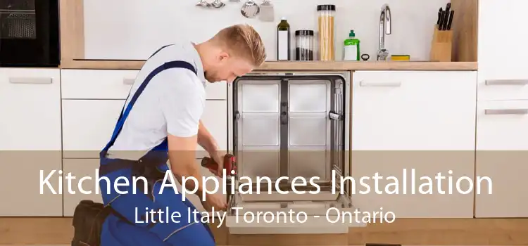Kitchen Appliances Installation Little Italy Toronto - Ontario