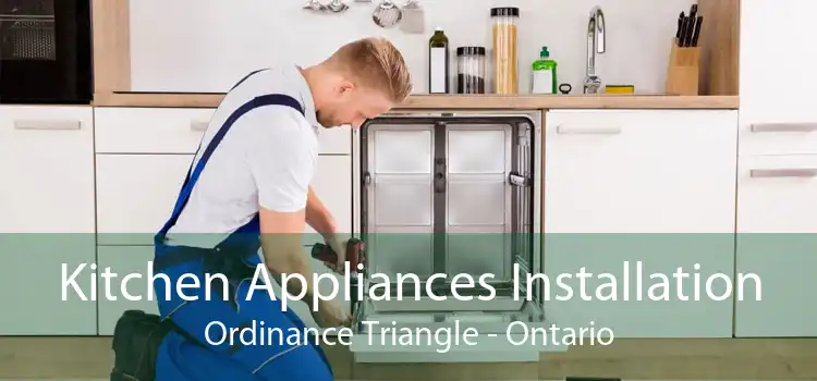 Kitchen Appliances Installation Ordinance Triangle - Ontario