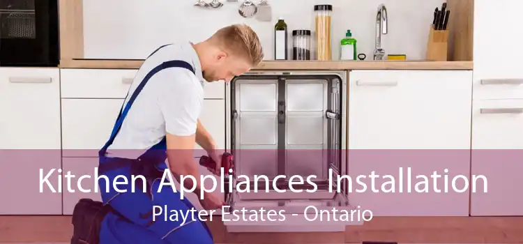 Kitchen Appliances Installation Playter Estates - Ontario