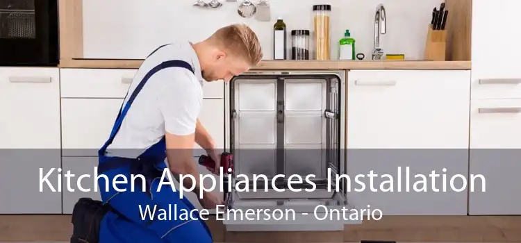 Kitchen Appliances Installation Wallace Emerson - Ontario