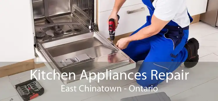 Kitchen Appliances Repair East Chinatown - Ontario