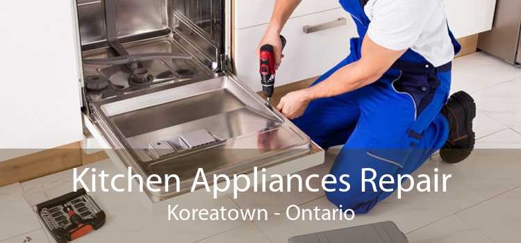 Kitchen Appliances Repair Koreatown - Ontario