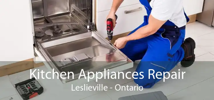 Kitchen Appliances Repair Leslieville - Ontario