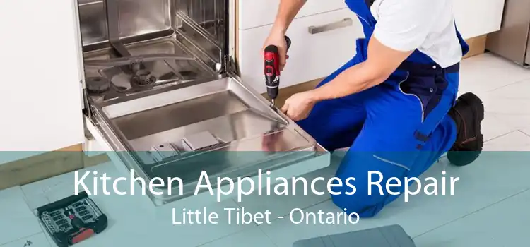 Kitchen Appliances Repair Little Tibet - Ontario