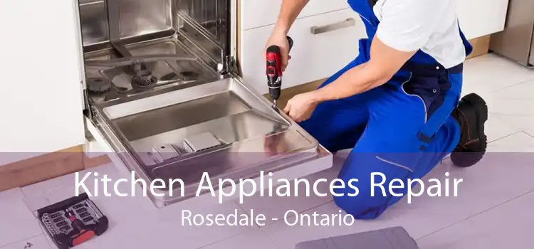 Kitchen Appliances Repair Rosedale - Ontario