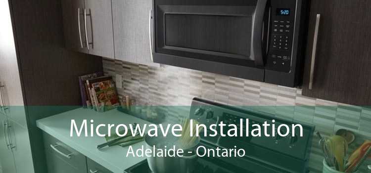 Microwave Installation Adelaide - Ontario